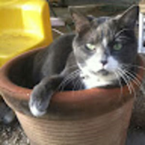 Meet your Posher, Catherinehuggins